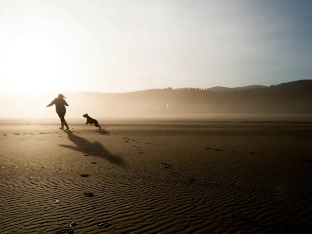 How To Build Self-Discipline: An 8‑Week Practical Plan To Transform Your Habits In 2026