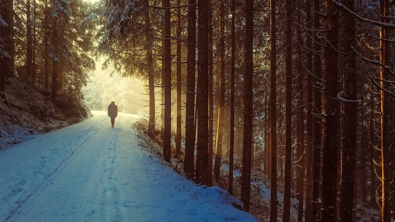 what is mindful walking