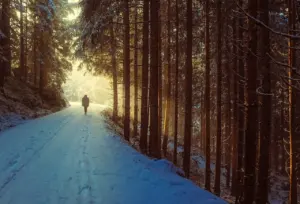 what is mindful walking