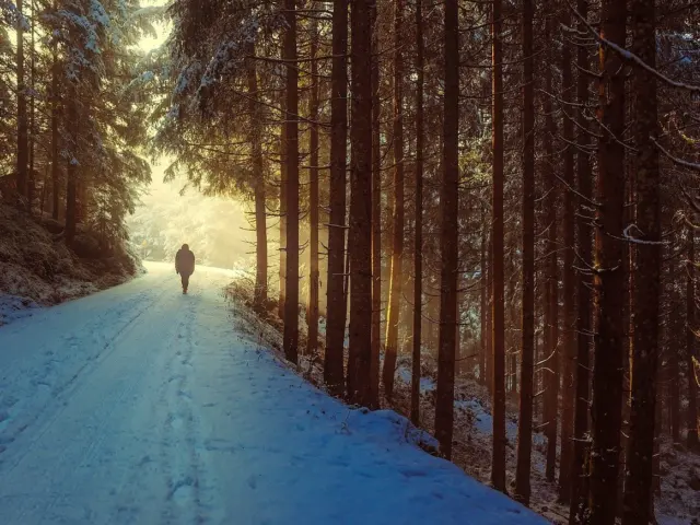 Mindful Walking: How To Walk With Purpose, Calm, And Focus (2026 Guide)